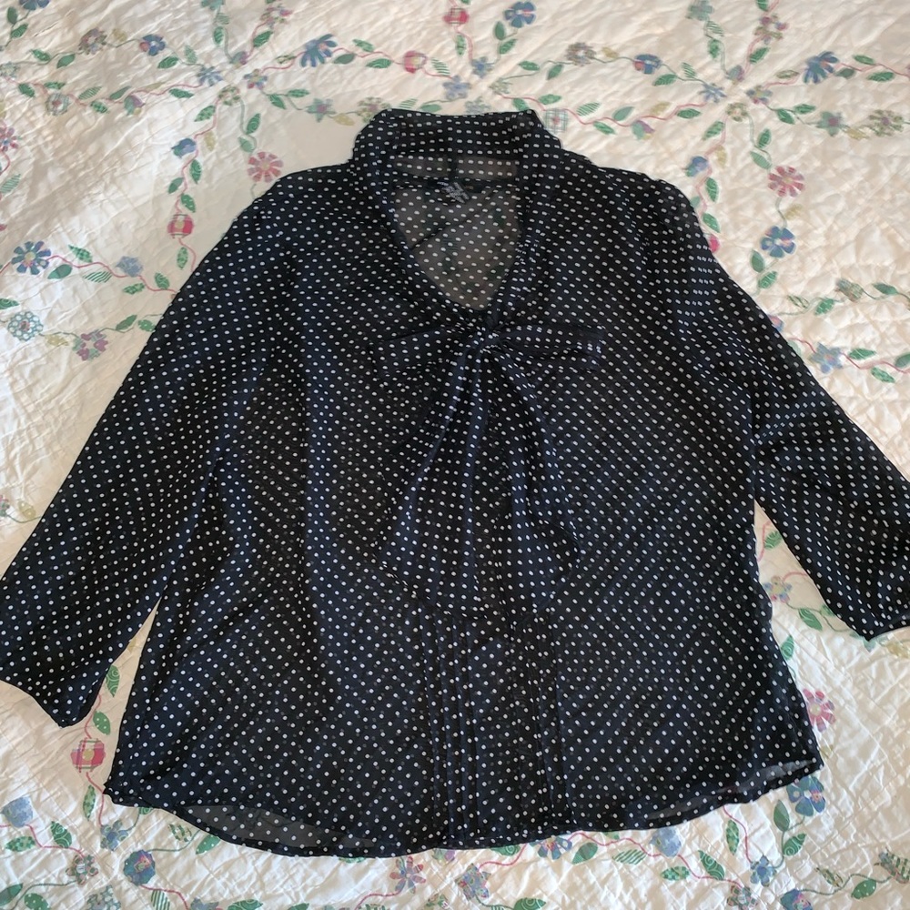 Robert Louis Sheer Blouse